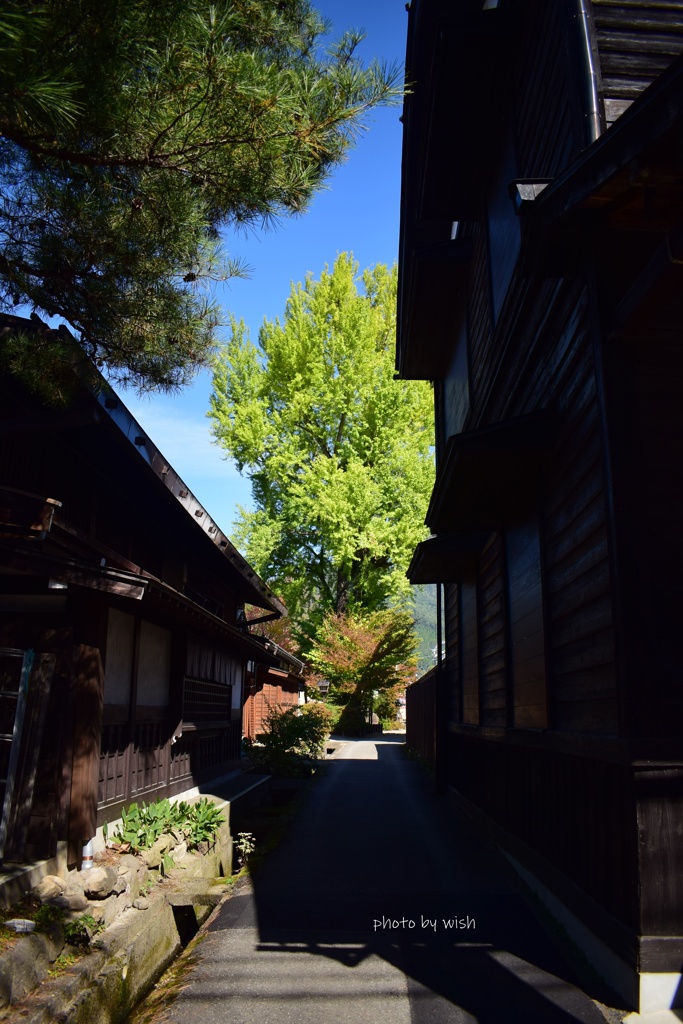 路地裏から眺める