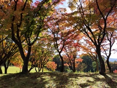 色付きグラデーション