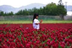 花束少女