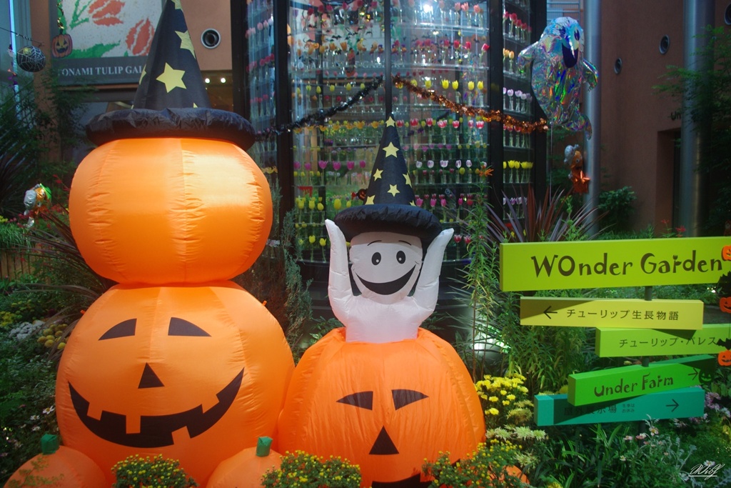チューリップ四季彩館のハロウィン