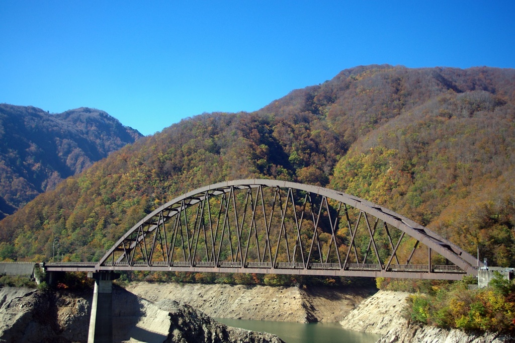 桂湖の紅葉