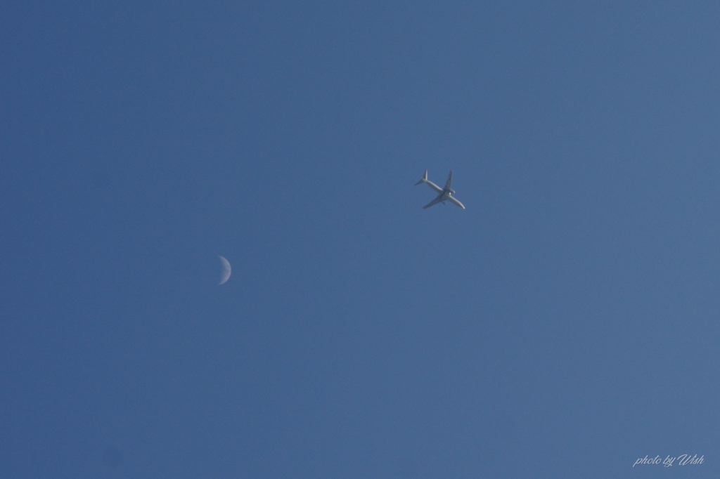 半月と飛行機