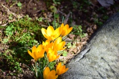 spring colors