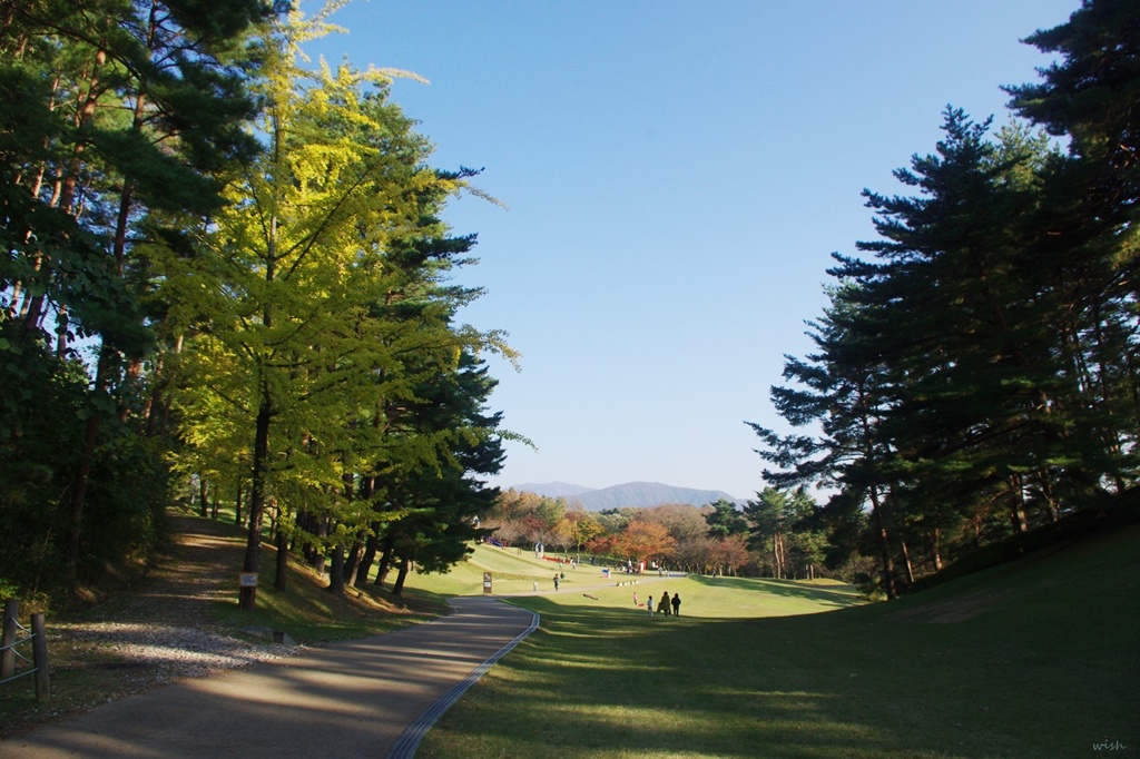 秋晴れの公園