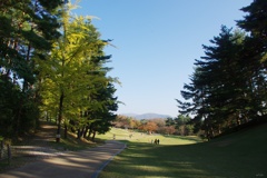秋晴れの公園