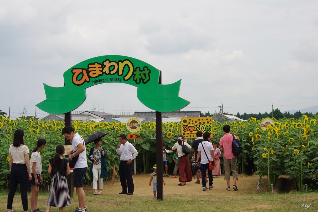 迷路の出入口