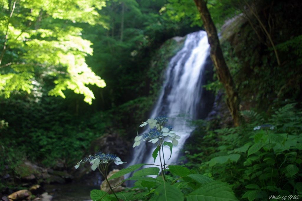 宇津江四十八滝