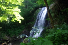 宇津江四十八滝