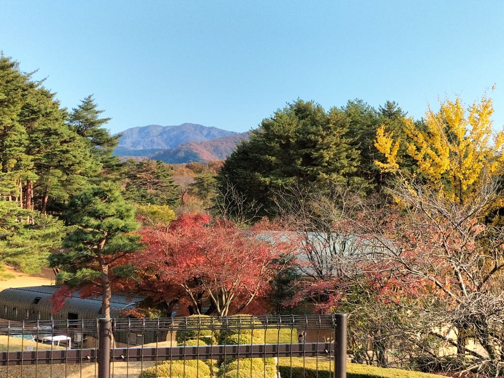 秋晴れの風景