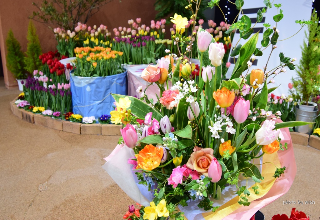 Ｆｌｏｗｅｒ　Ａｒｒａｎｇｅｍｅｎｔ