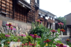 7月末の城端