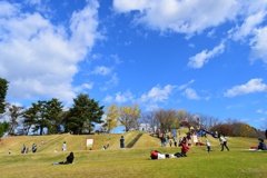 秋晴れの広場