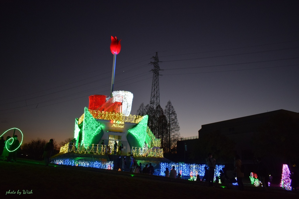 夜空に煌めく