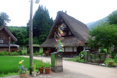 7月の菅沼集落