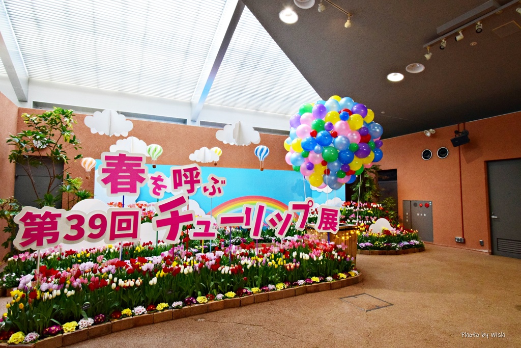 春を呼ぶイベント＾＾