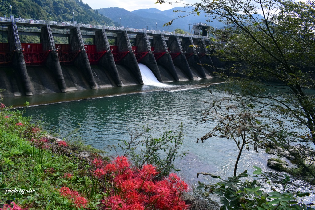 秋の風景