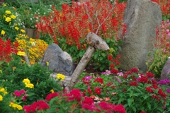 花園