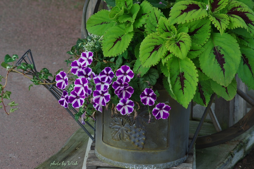 おしゃれな花飾り