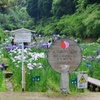 富山の花名所
