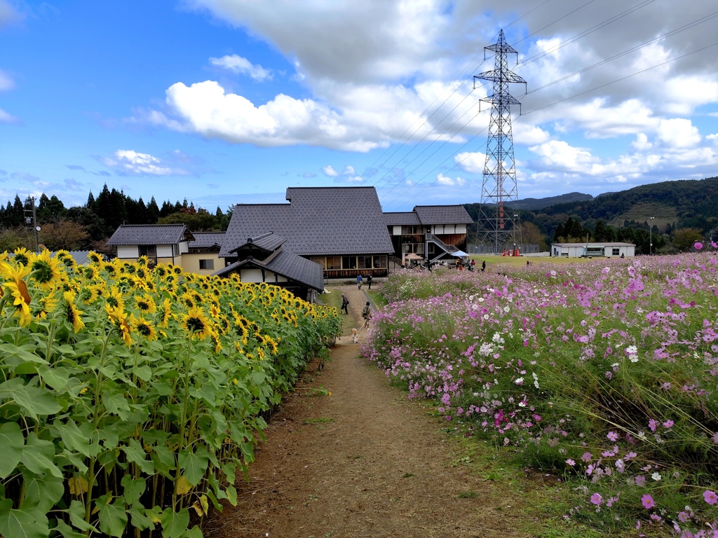 花道
