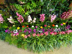 春の花畑