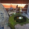 坪庭
