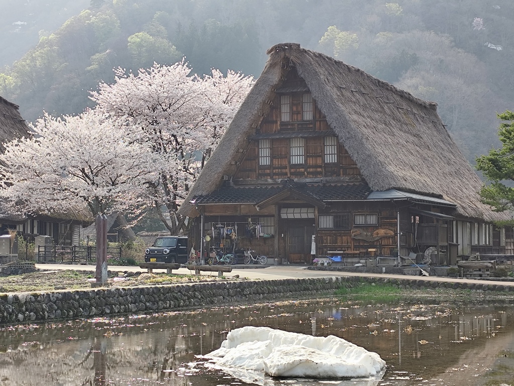 春の風景
