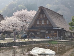 春の風景