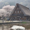 春の風景