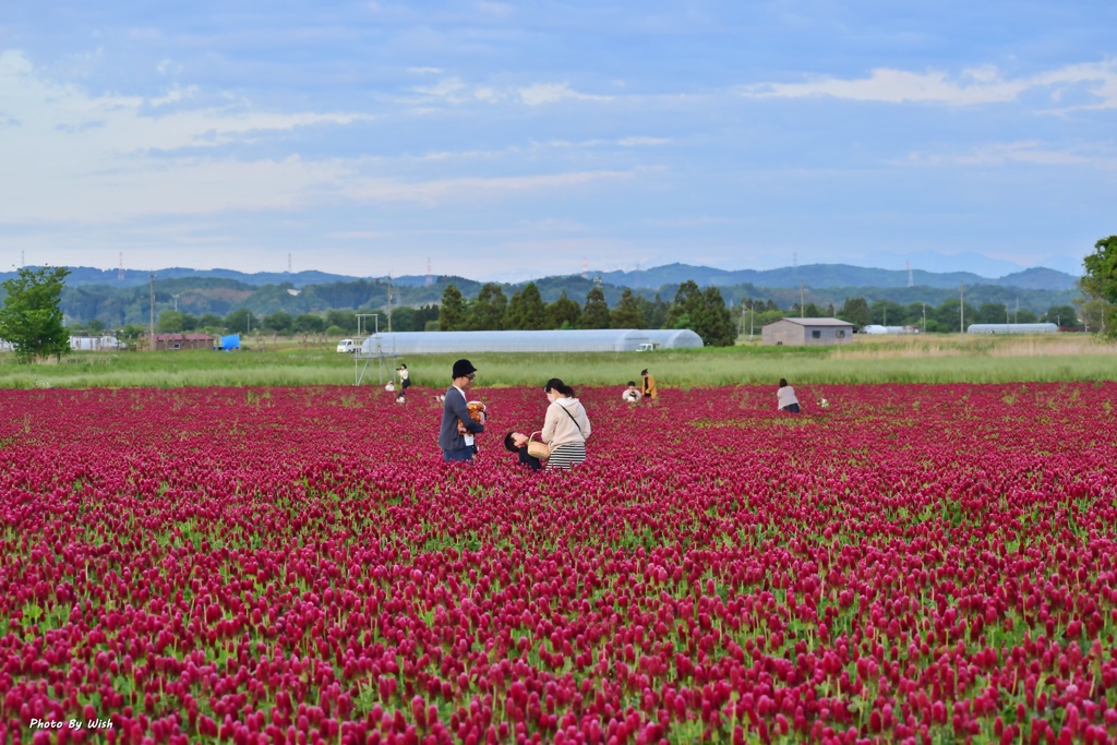 紅色に染まる