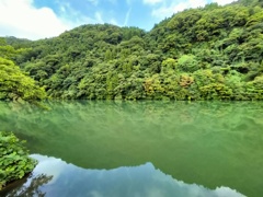 ダム湖の彩り