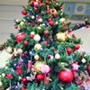 クリスマスツリー
