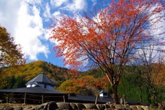 せせらぎ街道：紅葉のパスカル清見