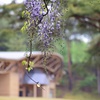 雨上がりの風景