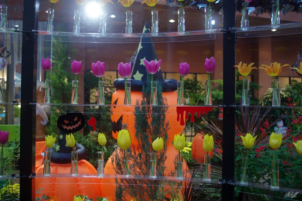 チューリップ四季彩館のハロウィン