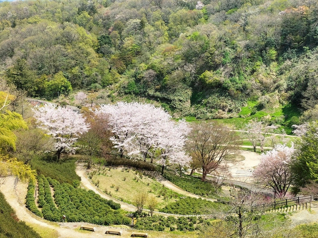 四百年の森