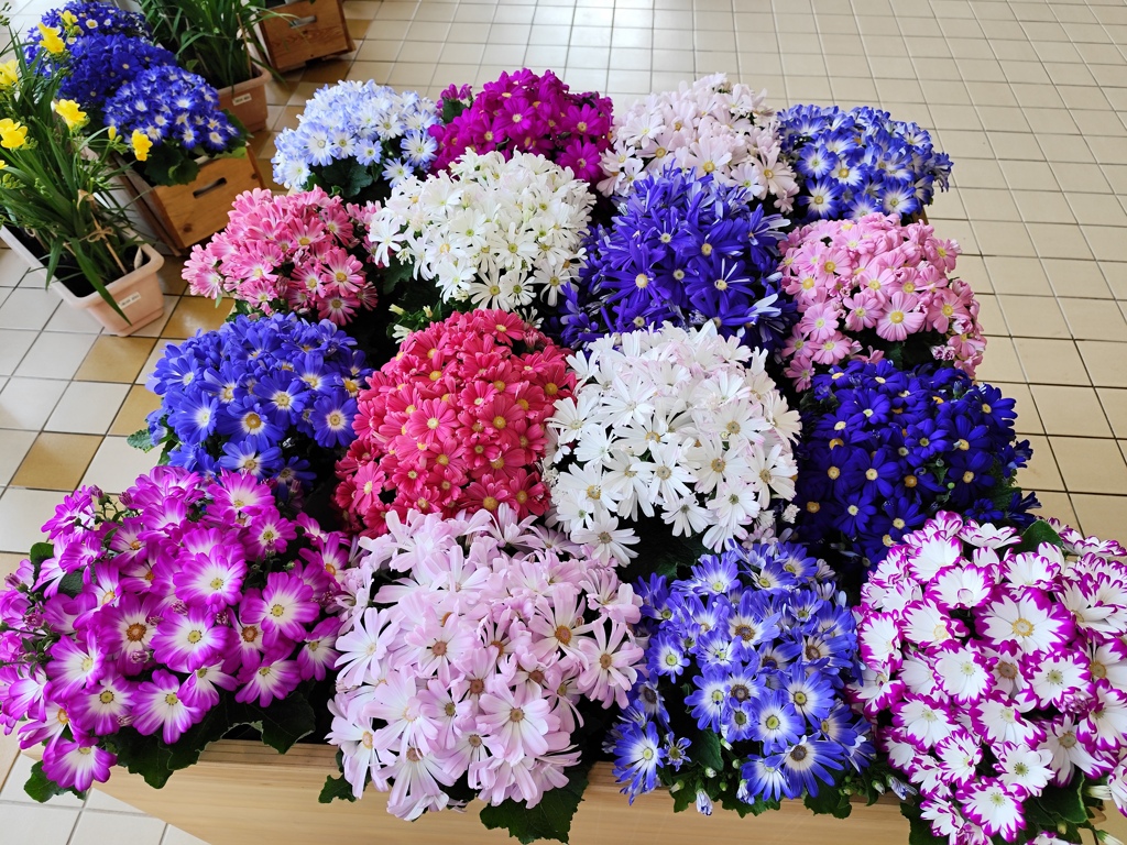花のバッチワーク