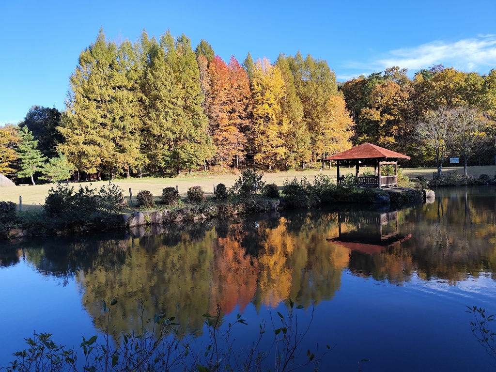 色付きグラデーション