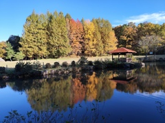 色付きグラデーション