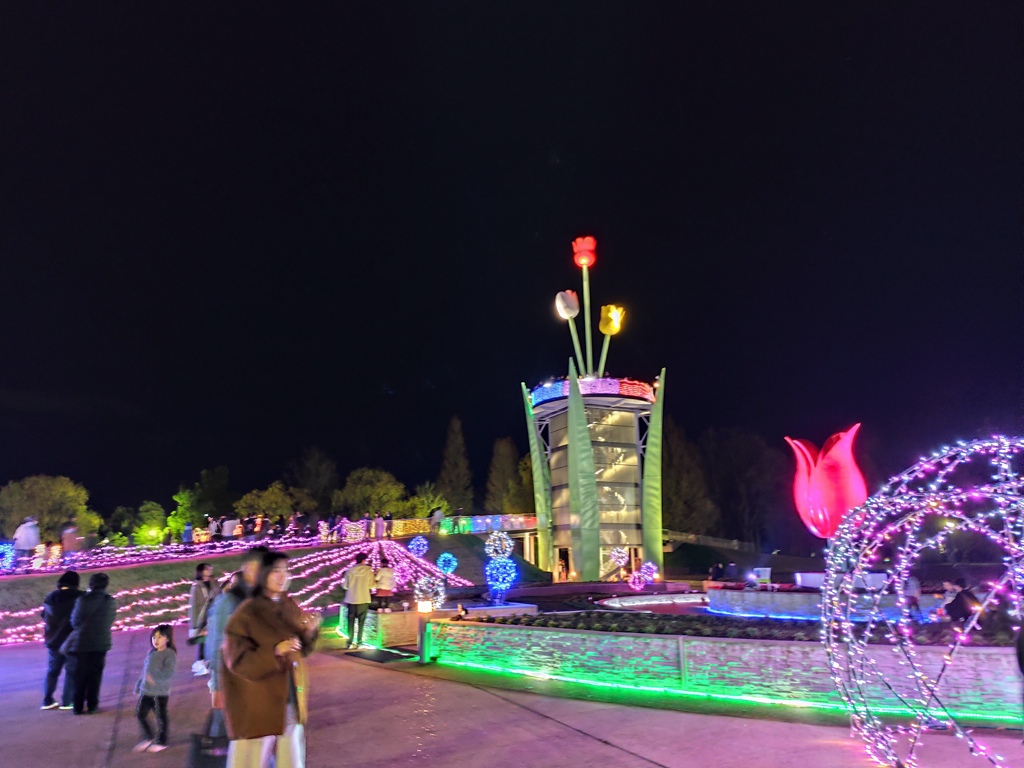 12月のイルミネーション