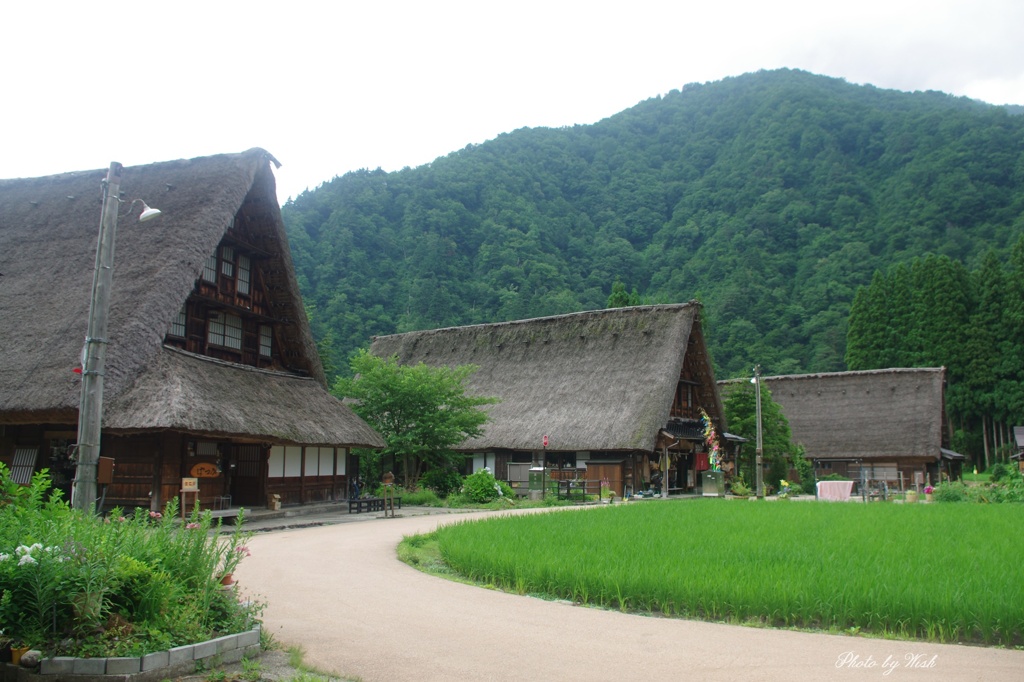 7月の菅沼集落