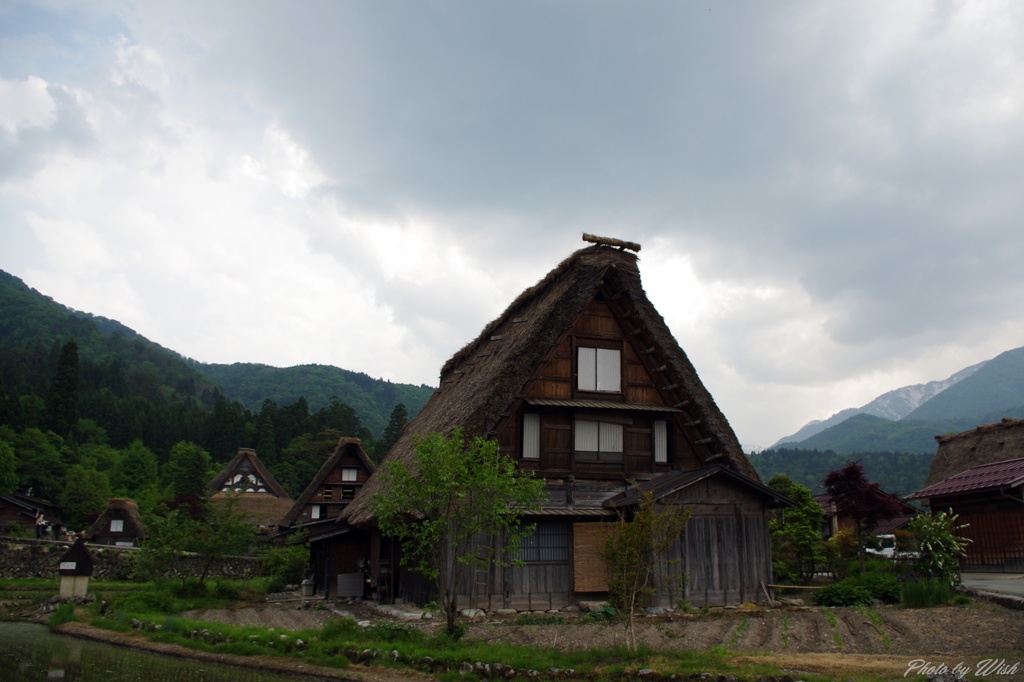 田植えの頃