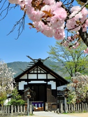 春の飛騨古川