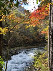 渓流