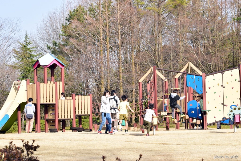 春の公園