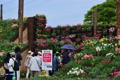 花の大谷