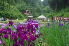 頼成の森