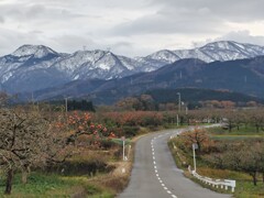 季節は秋から冬へ