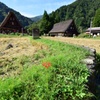 のどかな秋の風景