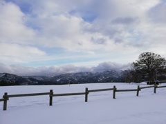 雪原